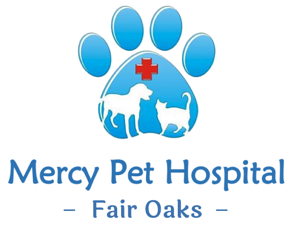 Mercy Pet Hospital
